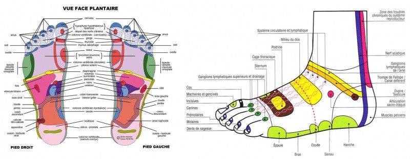 CARTHOLOGIE PIEDS