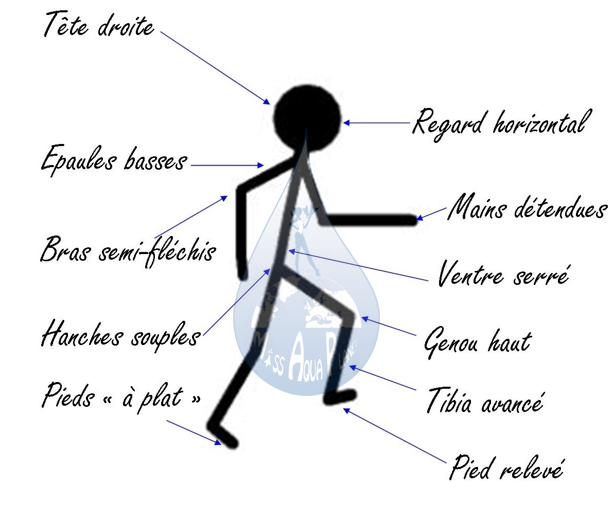Règles de bonnes postures de la marche en mer Letty